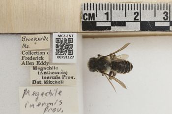 Media type: image;   Entomology 791127 Aspect: Labels